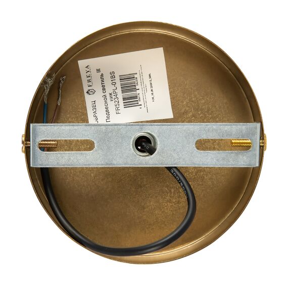 Подвесной светильник Freya FR5234PL-01BS, изображение 9