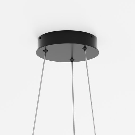 Подвесной светильник Maytoni MOD058PL-L42BK, изображение 5