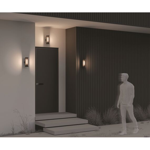 Настенный светильник (бра) Outdoor O451WL-01GF, изображение 6