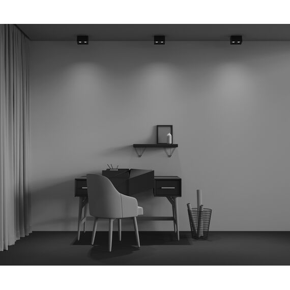 Потолочный светильник Technical C065CL-02-L12W4K-B, изображение 6