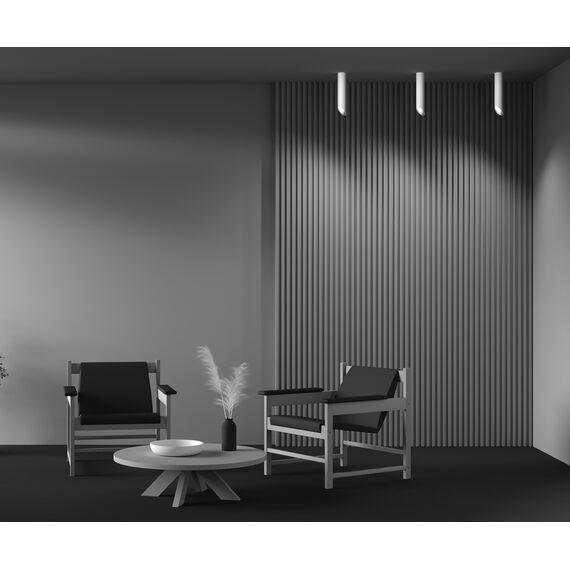 Потолочный светильник Technical C044CL-01-30GU10-W, изображение 5