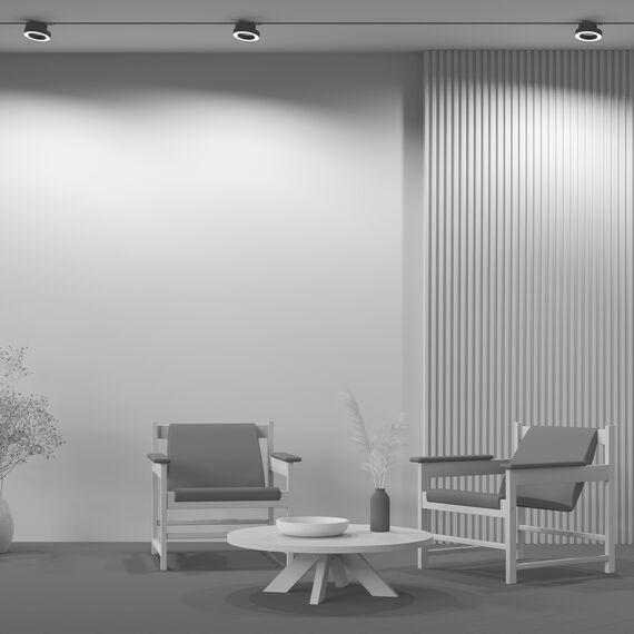 Трековый светильник Technical TR044-1-12W3K-B, изображение 6