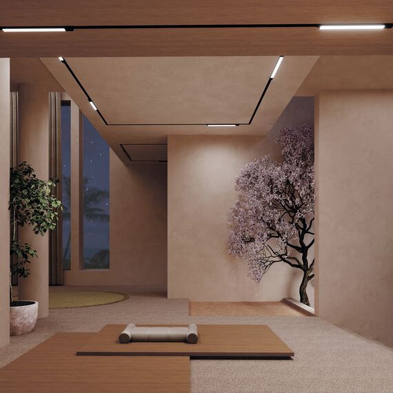 Трековый светильник Technical TR074-2-7W4K-B, изображение 2