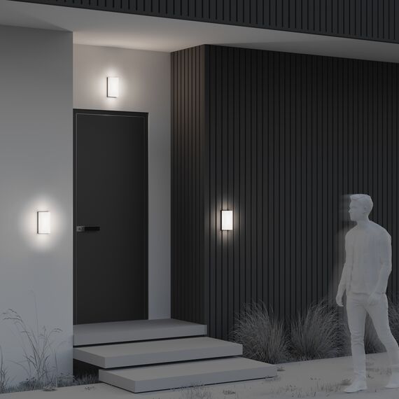 Настенный светильник (бра) Outdoor O454WL-L10GF3K, изображение 8