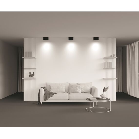 Потолочный светильник Technical C017CL-02B, изображение 3