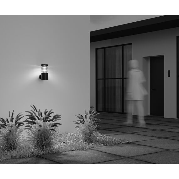 Настенный светильник (бра) Outdoor O439WL-L12GF3K, изображение 13