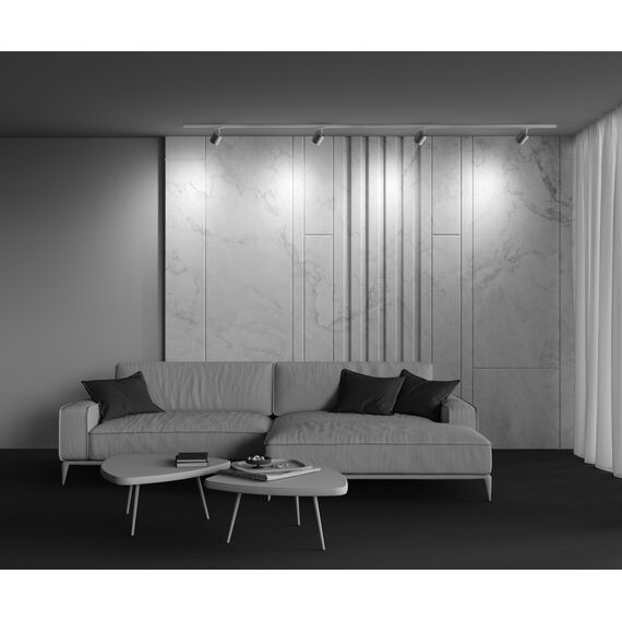 Трековый светильник Technical TR088-1-GX53-S, изображение 9