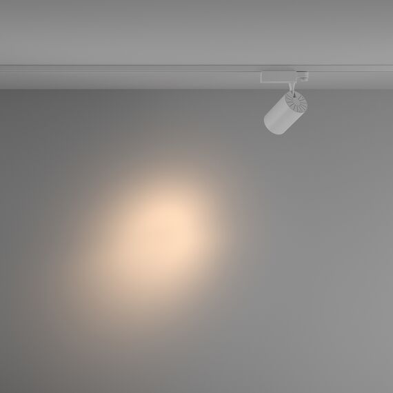 Трековый светильник Technical TR029-3-20W3K-S-W, изображение 9