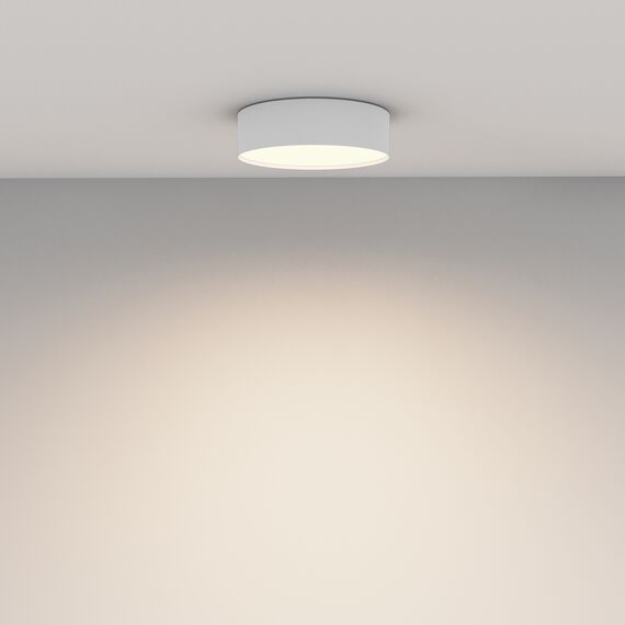 Потолочный светильник Technical C032CL-24W3K-RD-W, изображение 14