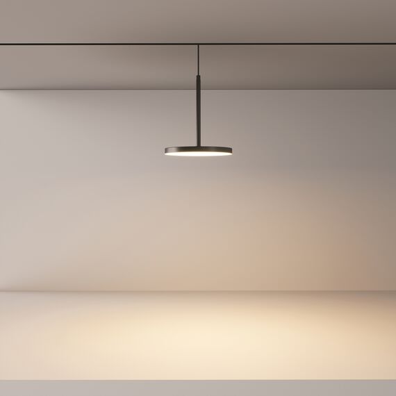 Трековый светильник Technical TR123-2-15W3K-B, изображение 4