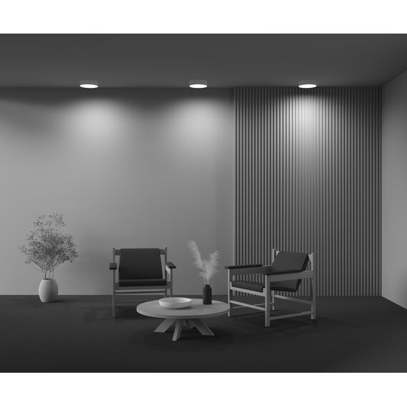 Потолочный светильник Technical C032CL-24W3K-RD-W, изображение 17