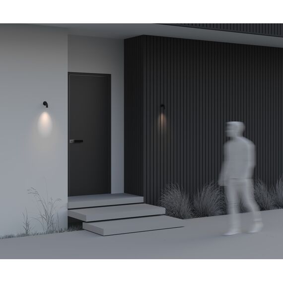 Настенный светильник (бра) Outdoor O477WL-L2GF3K, изображение 9