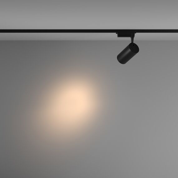 Трековый светильник Technical TR003-1-36W3K-S-B, изображение 4