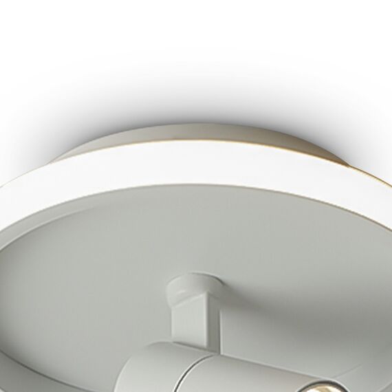 Потолочный светильник Freya FR6040CL-L14W, изображение 8