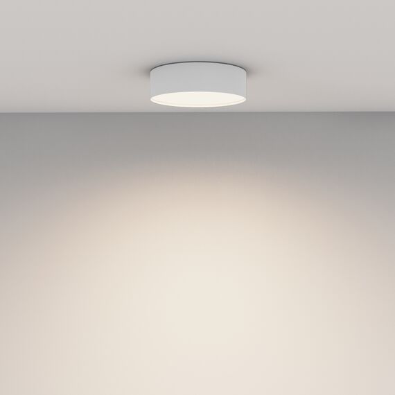 Потолочный светильник Technical C032CL-24W4K-RD-W, изображение 8