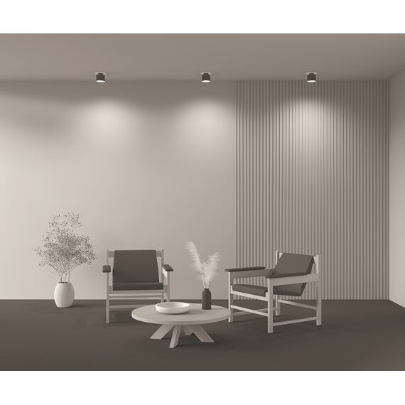 Потолочный светильник Technical C009CW-L12B4K, изображение 5