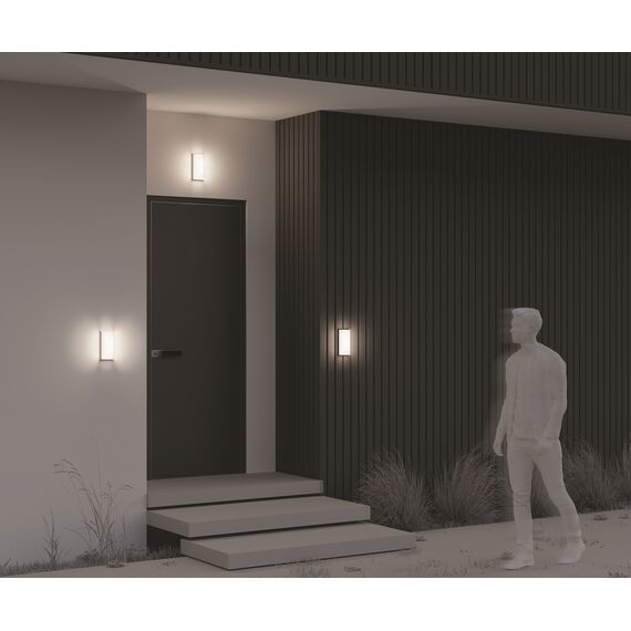 Настенный светильник (бра) Outdoor O454WL-L10GF3K1, изображение 6