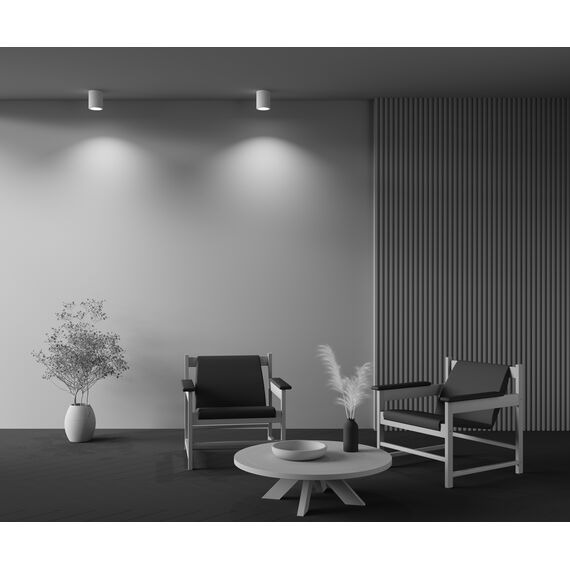 Потолочный светильник Technical C001CW-01W-1, изображение 6