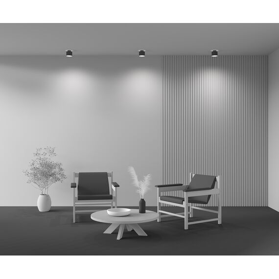 Потолочный светильник Technical C009CW-L12B4K, изображение 11