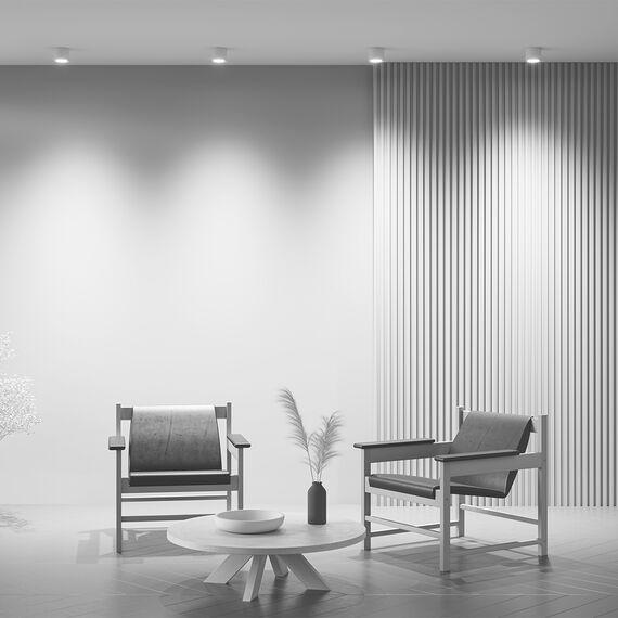 Потолочный светильник Technical C095CL-GX53-W, изображение 6