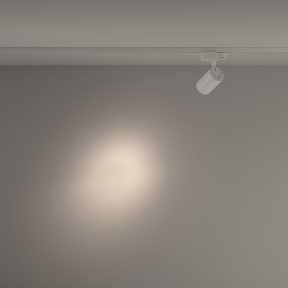 Трековый светильник Technical TR029-3-10W4K-S-W, изображение 4