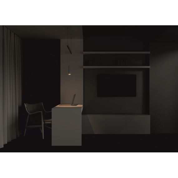 Трековый подвесной светильник Technical TR041-2-12W4K-W, изображение 4