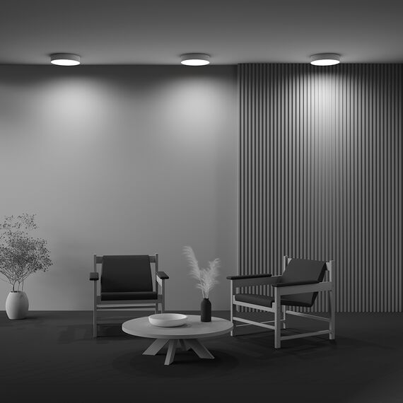 Потолочный светильник Technical C032CL-36W3K-RD-W, изображение 11