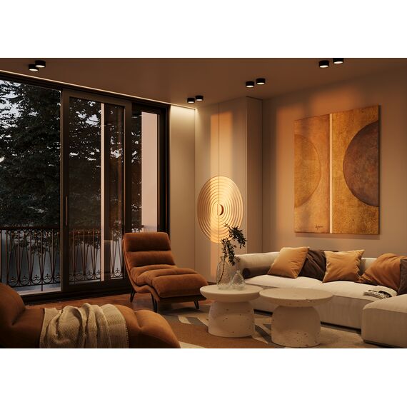 Потолочный светильник Technical C091CL-12W3K-B, изображение 3