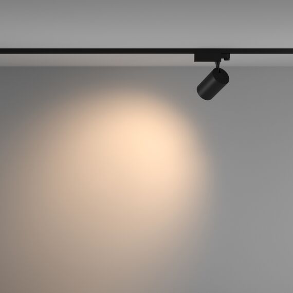 Трековый светильник Technical TR029-3-20W3K-W-B, изображение 4