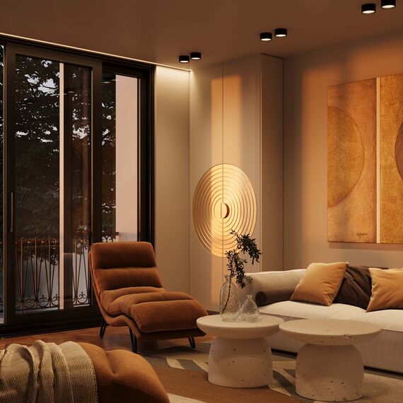 Потолочный светильник Technical C091CL-12W3K-B, изображение 2