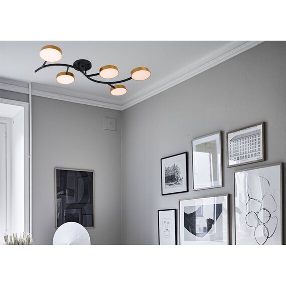 Потолочный светильник Freya FR6048CL-L10GB, изображение 16