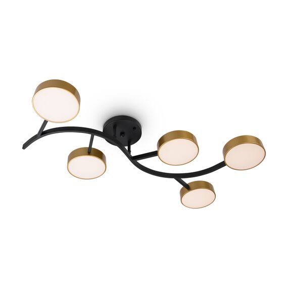 Потолочный светильник Freya FR6048CL-L10GB, изображение 5