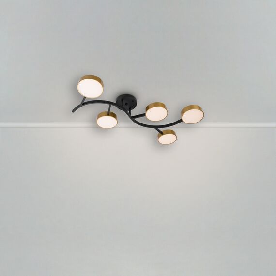 Потолочный светильник Freya FR6048CL-L10GB, изображение 13