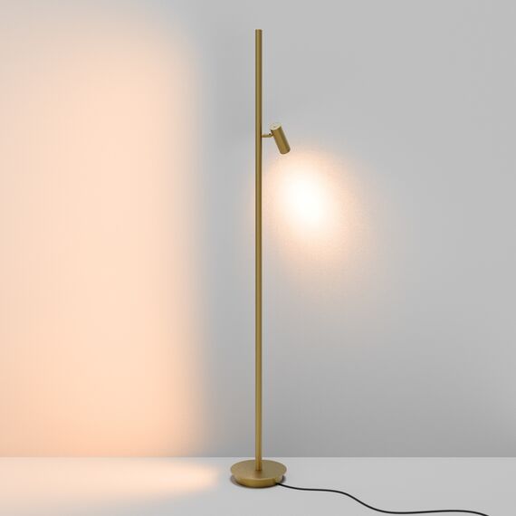 Напольный светильник (торшер) Maytoni MOD395FL-L28BS3K, изображение 11