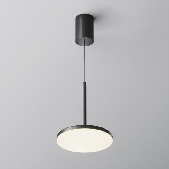 Подвесной светильник Technical P076PL-L12W4K-B, изображение 5