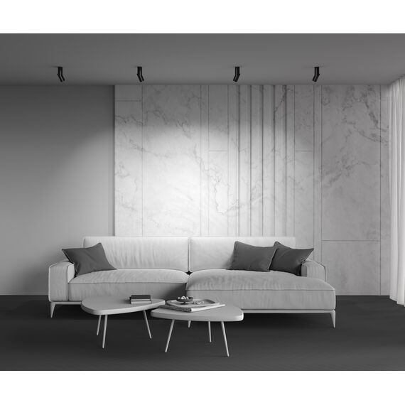 Потолочный светильник Technical C027CL-L10B4K, изображение 10