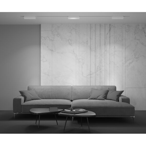 Трековый светильник Technical TR075-2-20W4K-W, изображение 8