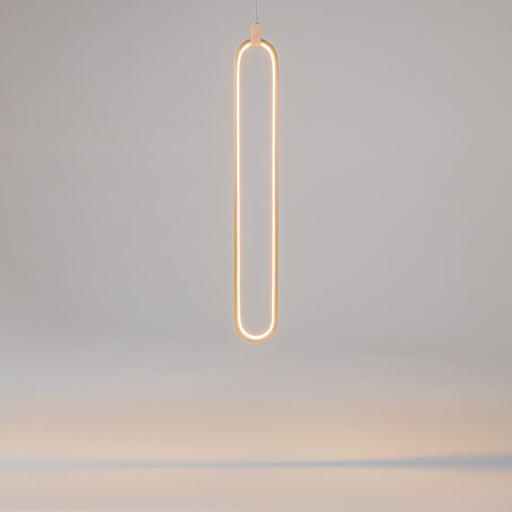 Подвесной светильник Maytoni MOD017PL-L13G, изображение 10