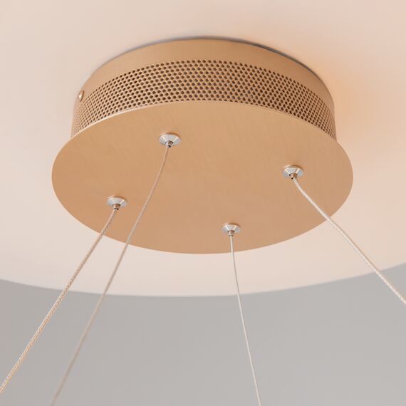 Подвесной светильник Maytoni MOD017PL-L50MG, изображение 11