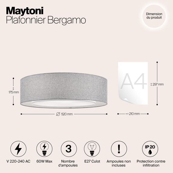Потолочный светильник Maytoni MOD613CL-04GR, изображение 9