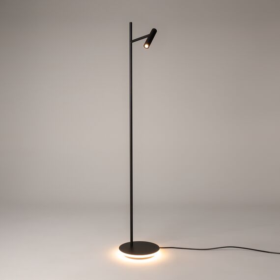 Напольный светильник (торшер) Maytoni Z010FL-L8B3K, изображение 8