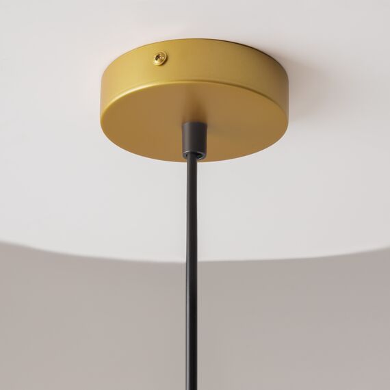 Подвесной светильник Maytoni P362PL-01G, изображение 8