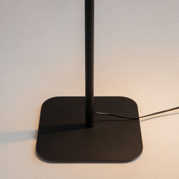 Напольный светильник (торшер) Maytoni Z001FL-L3W-1B, изображение 10