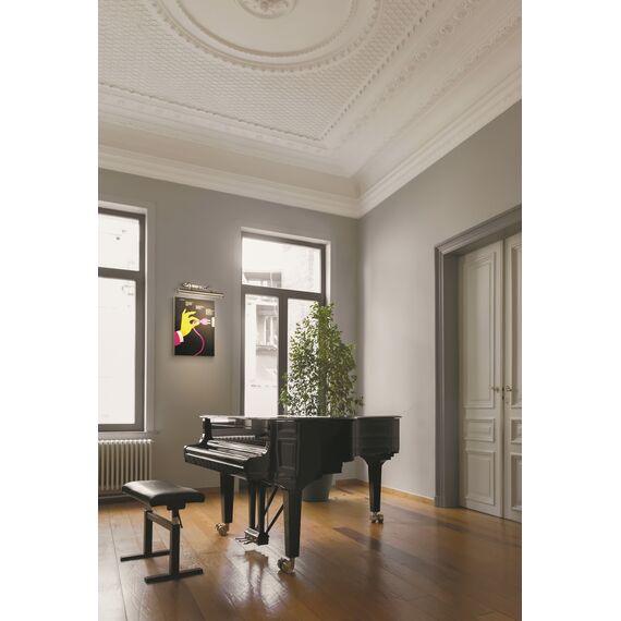 Подсветка Maytoni PIC119-44-R, изображение 8