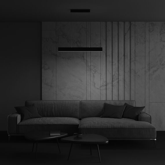 Подвесной светильник Technical P010PL-L23B, изображение 3