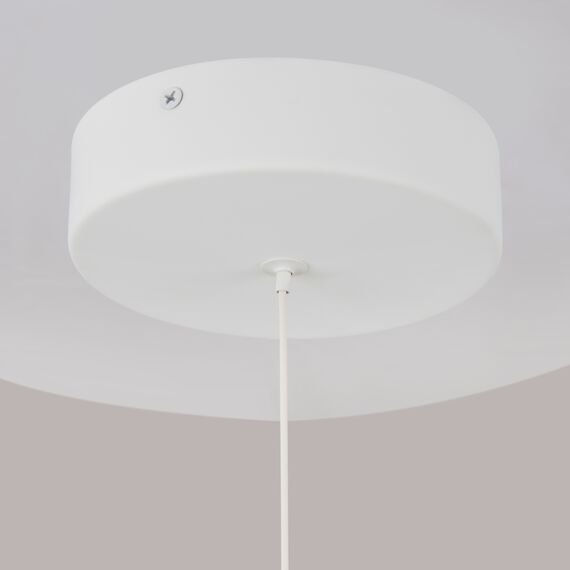 Подвесной светильник Technical P021PL-L10W, изображение 10