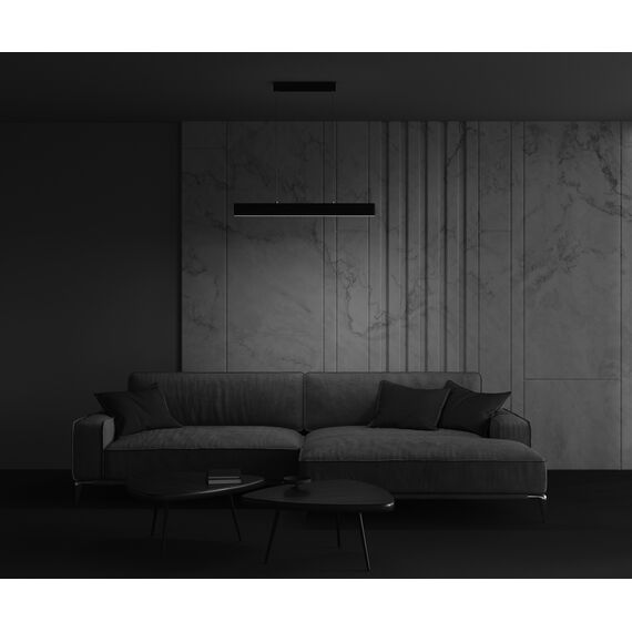 Подвесной светильник Technical P010PL-L23B, изображение 14