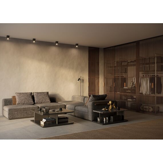 Потолочный светильник Technical C017CL-01B, изображение 3