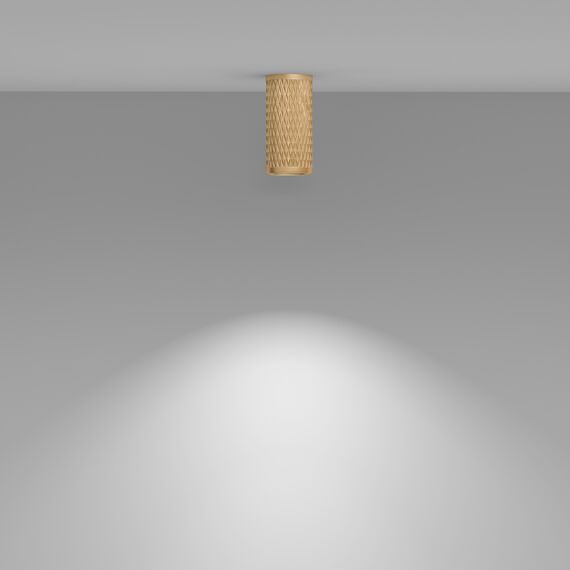 Потолочный светильник Technical C036CL-01G, изображение 3