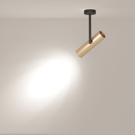 Потолочный светильник Technical C020CL-01GB, изображение 5